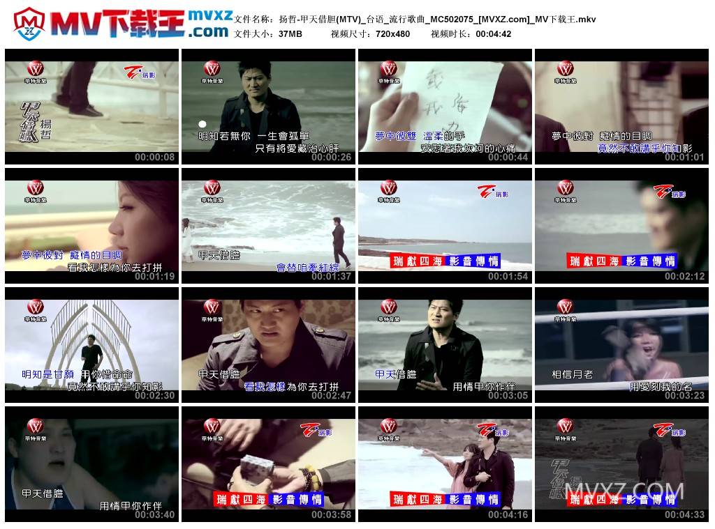 扬哲-甲天借胆(MTV)_台语_流行歌曲_MC502075